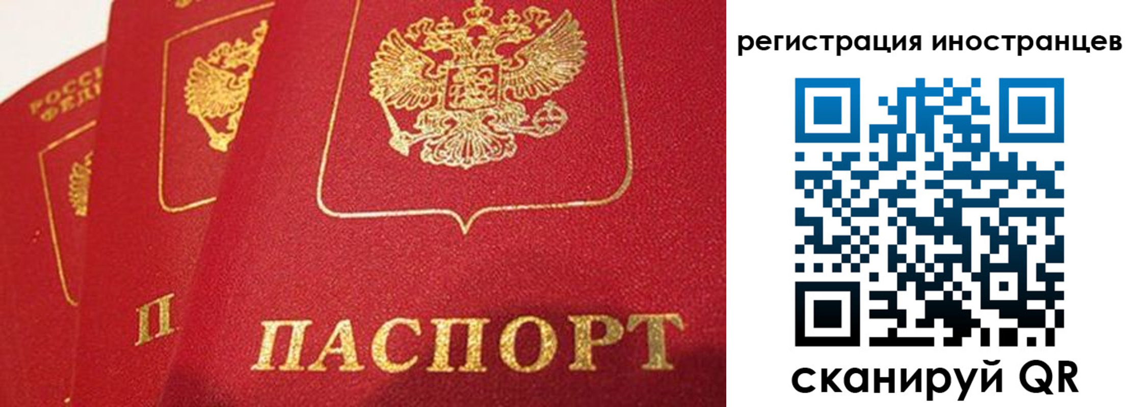 временная прописка в Вязниках